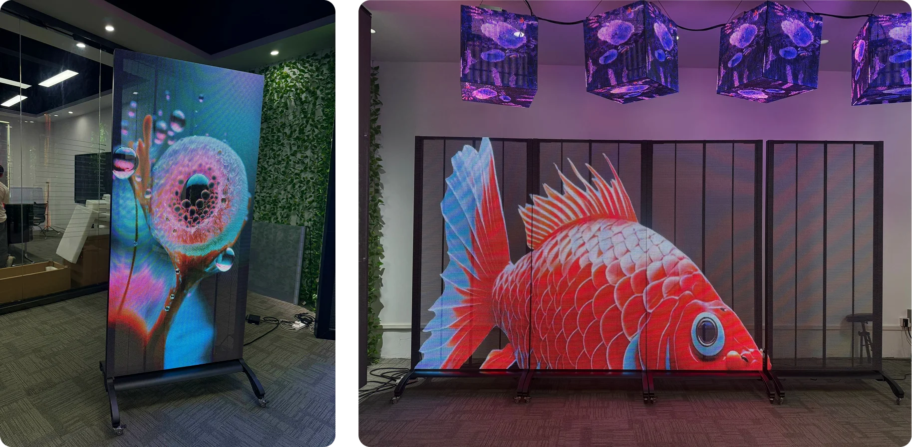 Real-world examples of the Transparent LED Poster, shown as a standalone display or in a combined video wall