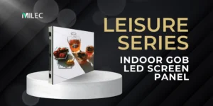 A single LED Display screen panel from the Indoor GOB Leisure